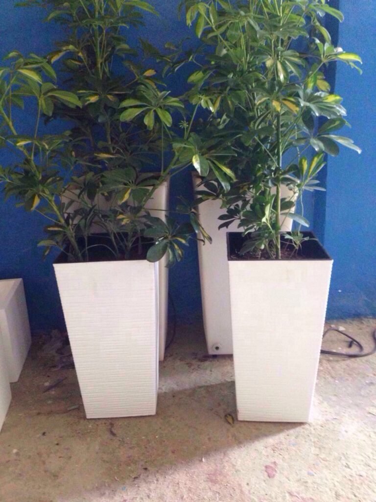 location pots de fleurs pour décoration événementielle au Maroc